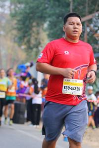 BIB: 16325
                            <button type="button" onclick="openModal(10413931)" class="btn btn-primary btn-sm float-right btn-popup" data-toggle="modal" data-target=".modal-high-quality">
                        <i class="fas fa-shopping-cart"></i> Add to Cart
                    </button>
                                            <button type="button" onclick="isThisMe(10413931, true)" class="btn btn-success btn-sm float-right btn-popup btn-isme hidden" data-toggle="tooltip" data-placement="bottom" title="นี่คือรูปของคุณใช่ไหม คลิกที่นี่เพื่อเอาเข้าอัลบั้ม">
                        <i class="fas fa-plus"></i> Add to album
                    </button>
                    <button type="button" onclick="isThisMe(10413931, false)" class="btn btn-warning btn-sm float-right btn-popup btn-isnotme hidden">
                        <i class="fas fa-ban"></i> Remove from album
                    </button>